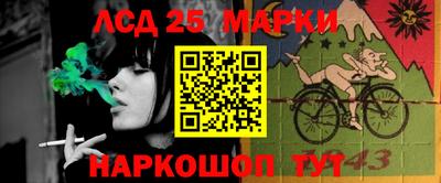 прущие грибы Комсомольск-на-Амуре