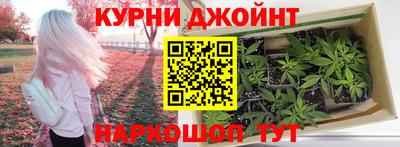 прущие грибы Комсомольск-на-Амуре