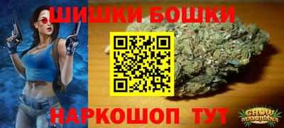 прущие грибы Комсомольск-на-Амуре