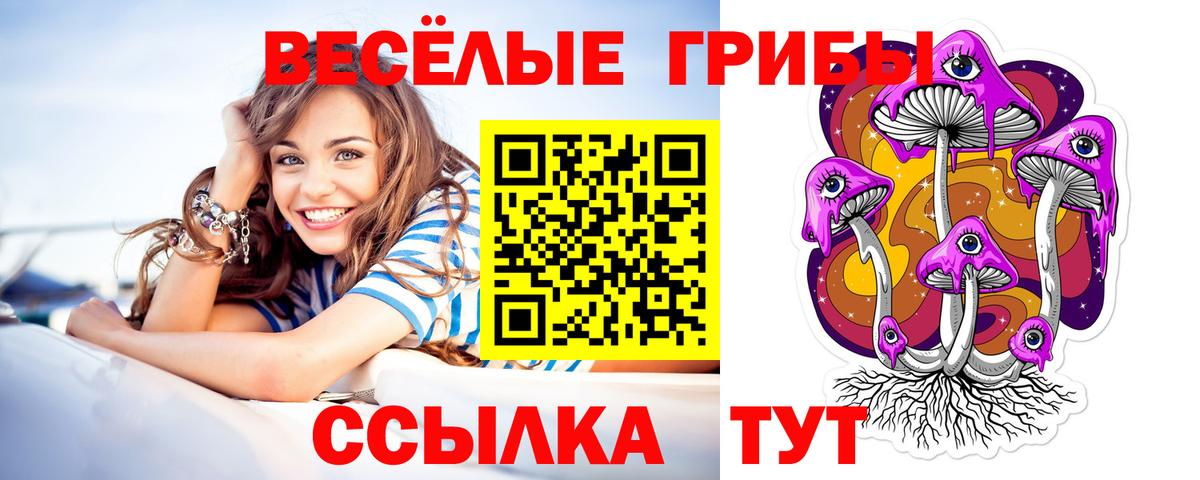 Галлюциногенные грибы мицелий  Вход с VPN  где найти наркотики  Киров 
